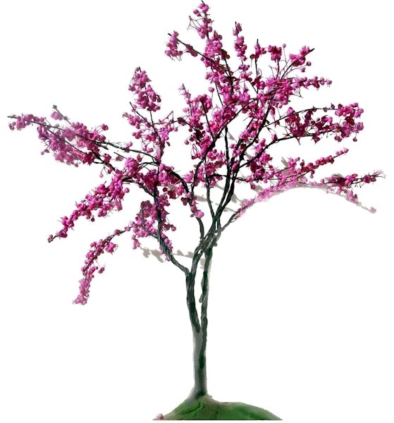 Redbud Tree